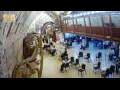 Webcam Jerusalem