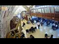 Webcam Jerusalem