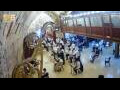 Webcam Jerusalem