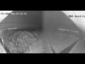 Webcam Durban