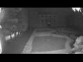 Webcam Nova Gorica