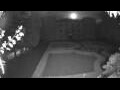 Webcam Nova Gorica