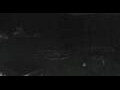 Webcam Kuzun