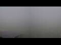 Webcam Kuzun
