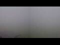 Webcam Kuzun