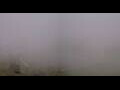 Webcam Kuzun