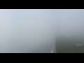 Webcam Kuzun