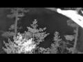 Webcam Pointe au Baril