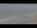Webcam Petten