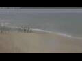 Webcam Petten