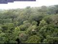 Webcam Yangambi