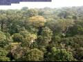 Webcam Yangambi