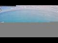 Webcam Norwegian Aqua