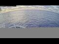 Webcam Norwegian Aqua