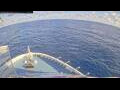 Webcam Norwegian Aqua
