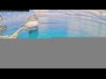 Webcam Norwegian Aqua