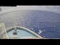 Webcam Norwegian Aqua
