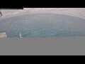 Webcam Norwegian Aqua