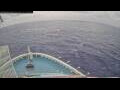 Webcam Norwegian Aqua