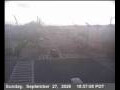 Webcam Albany, California