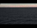 Webcam Mein Schiff Relax