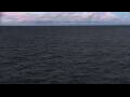 Webcam Mein Schiff Relax