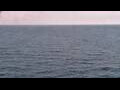 Webcam Mein Schiff Relax