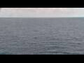 Webcam Mein Schiff Relax