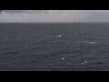 Webcam Mein Schiff Relax