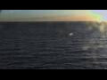 Webcam Mein Schiff Relax