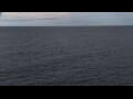 Webcam Mein Schiff Relax