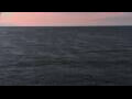 Webcam Mein Schiff Relax
