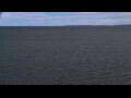 Webcam Mein Schiff Relax