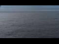 Webcam Mein Schiff Relax