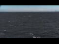 Webcam Mein Schiff Relax