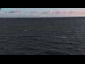 Webcam Mein Schiff Relax