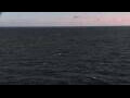 Webcam Mein Schiff Relax