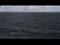 Webcam Mein Schiff Relax