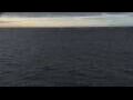 Webcam Mein Schiff Relax