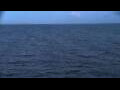 Webcam Mein Schiff Relax