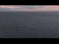 Webcam Mein Schiff Relax