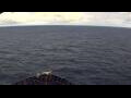 Webcam Mein Schiff 7