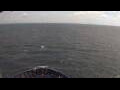 Webcam Mein Schiff 7