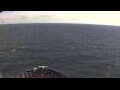 Webcam Mein Schiff 7
