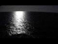 Webcam Mein Schiff 7