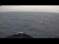Webcam Mein Schiff 7