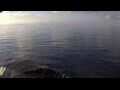 Webcam Mein Schiff 7