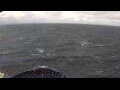 Webcam Mein Schiff 7