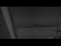 Webcam Schönberger Strand