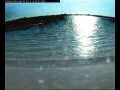 Webcam Farmoor